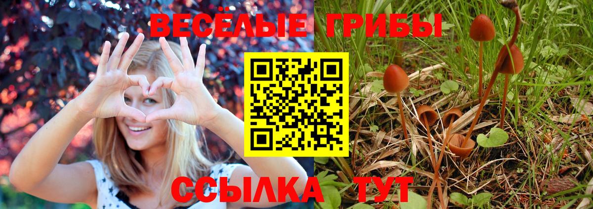 Псилоцибиновые грибы мицелий  купить закладку  Невинномысск  Вход с VPN  Галлюциногенные грибы Psilocybine cubensis 